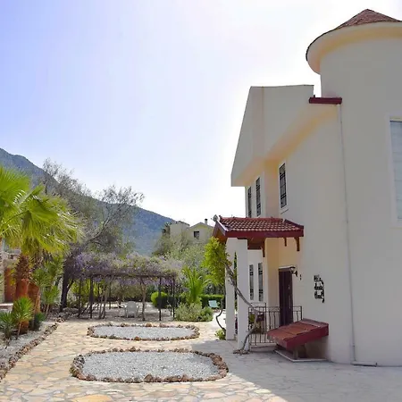 Paradise Found Villa